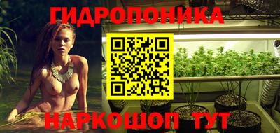 дурь Камышлов