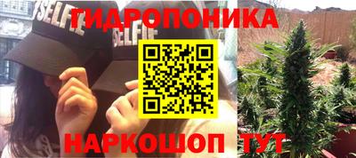 каннабис Кандалакша