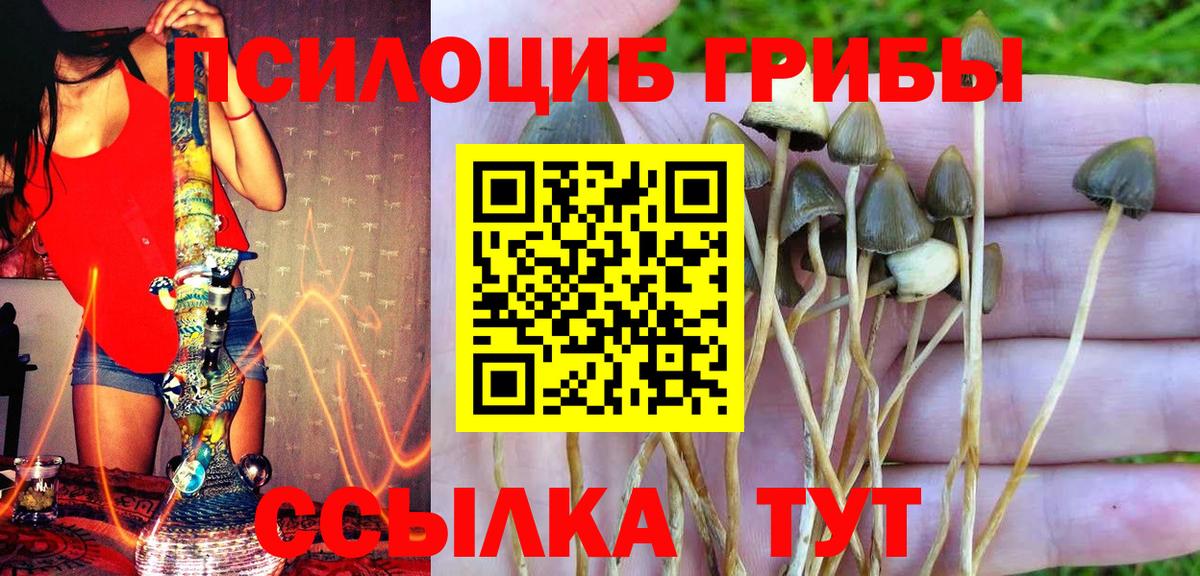 Псилоцибиновые грибы мухоморы Котовск