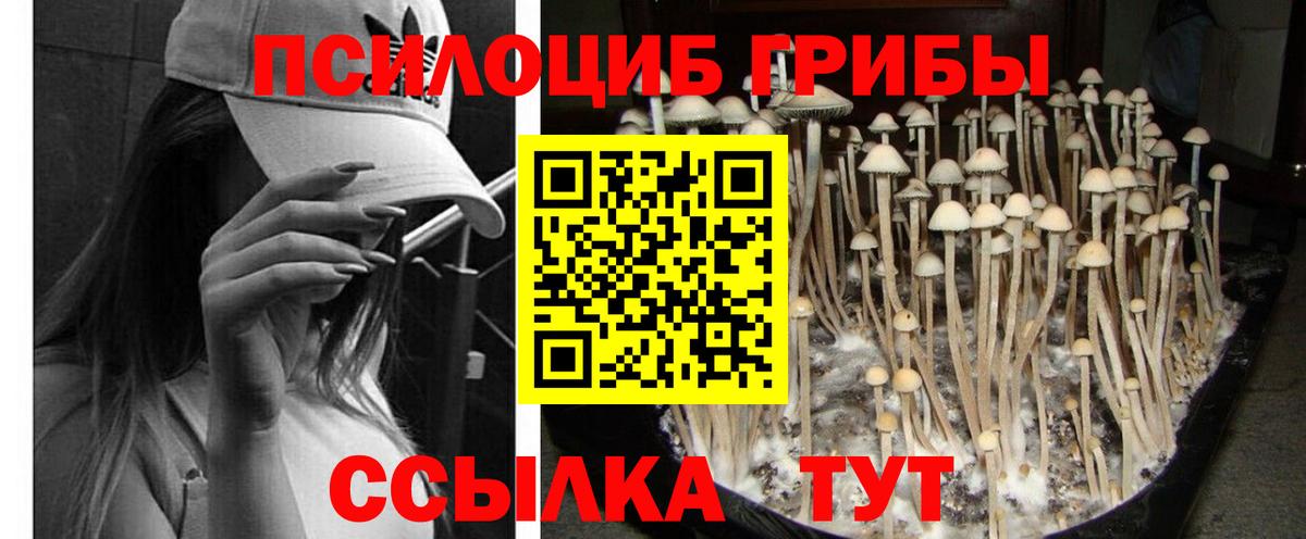 Галлюциногенные грибы Psilocybine cubensis  Вход с VPN  Котовск  Псилоцибиновые грибы ЛСД 