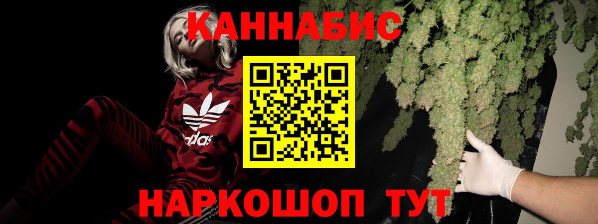 МЕФ Котовск